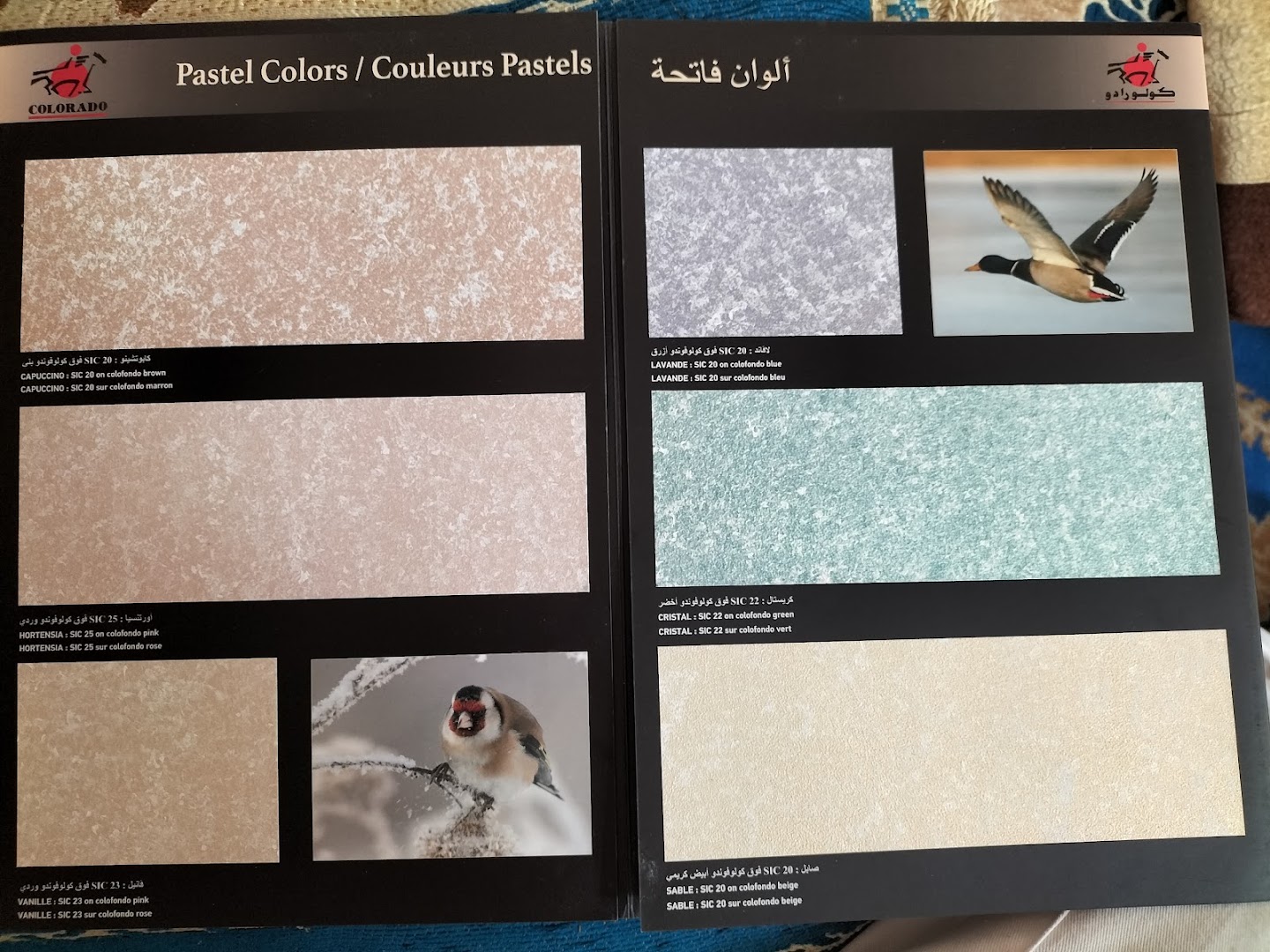 Pinturas Mediterráneas — Fotos 5